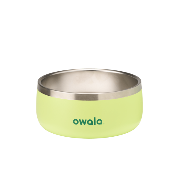 Pet Bowl - 6 Cup Capacity