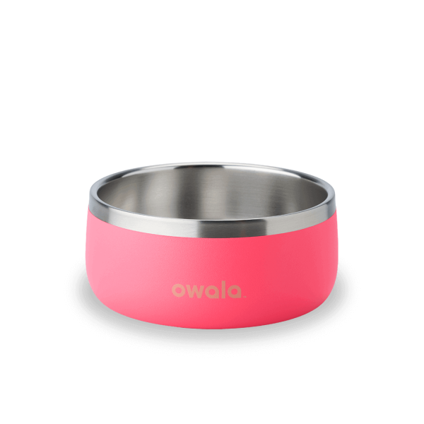 Pet Bowl - 6 Cup Capacity