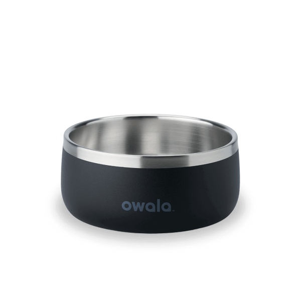 Pet Bowl - 6 Cup Capacity